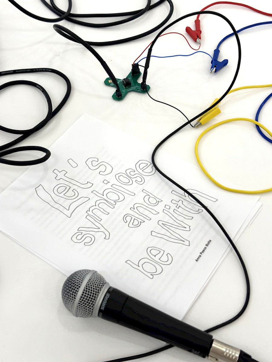 Let's Symbiose and Be With 5