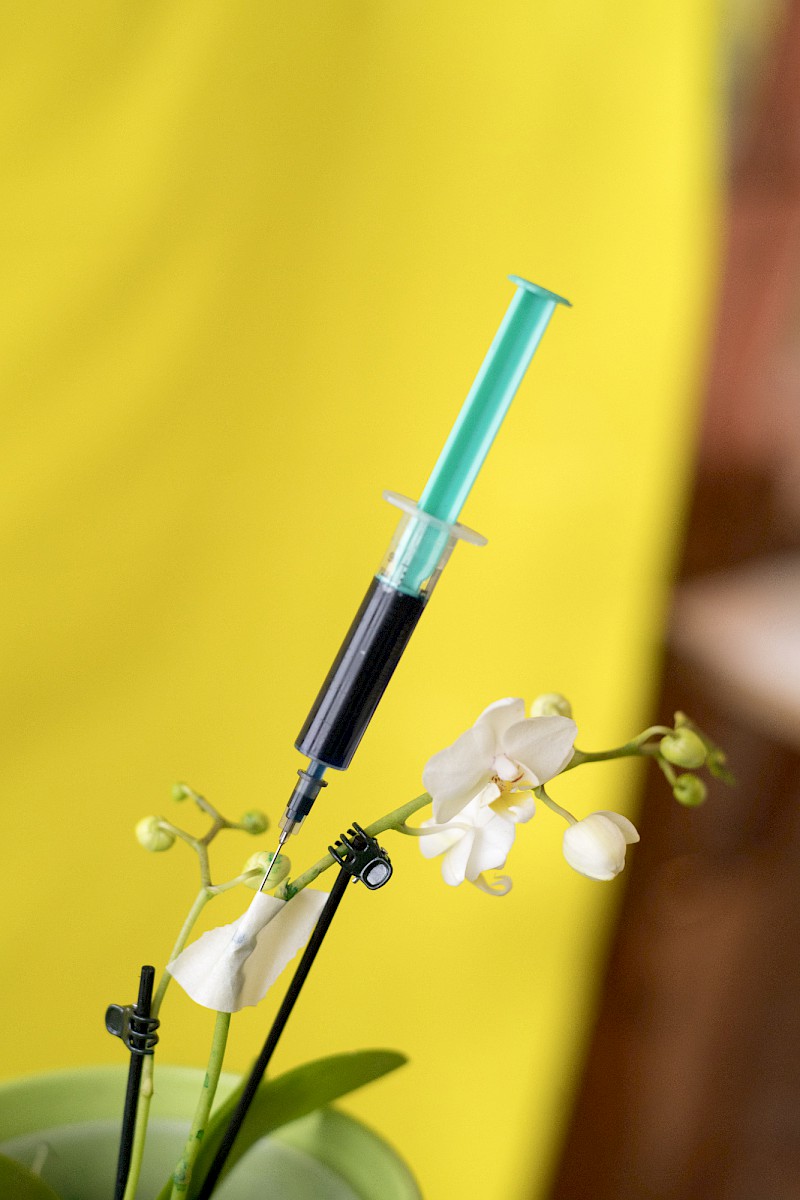 Nature and Circumstance 4