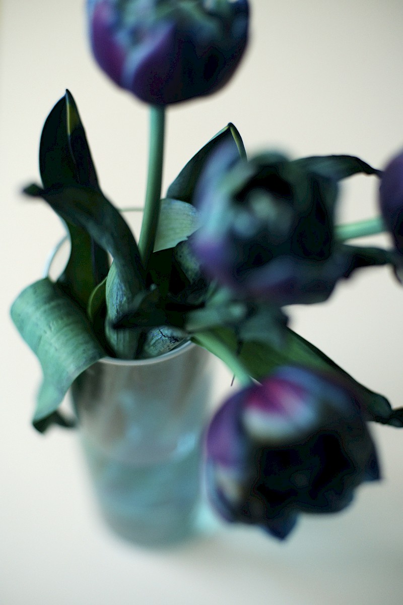 Nature and Circumstance 2