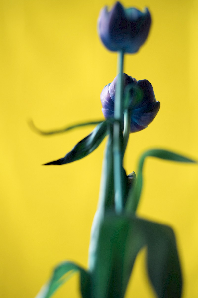 Nature and Circumstance 2