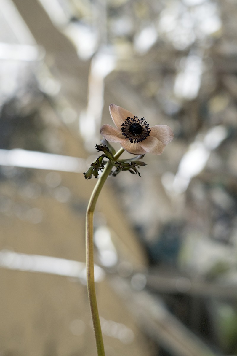 Nature and Circumstance 3